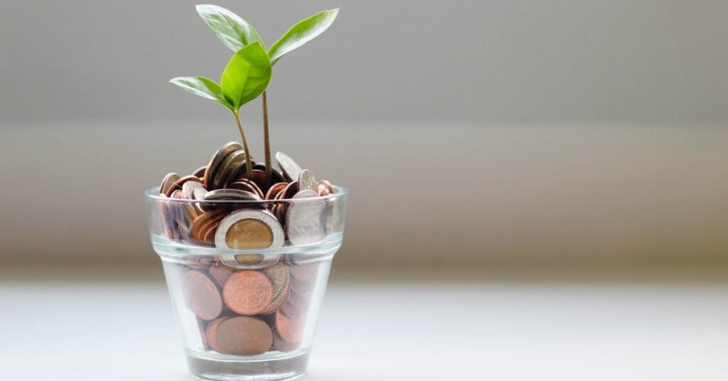 plant growing from money in a jar