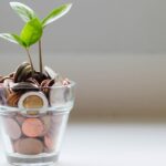 plant growing from money in a jar