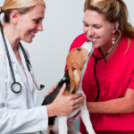 two women vet doctors kissing and holding a puppy