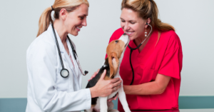 two women vet doctors kissing and holding a puppy